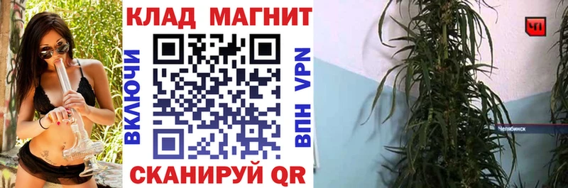 Наркотические вещества Шимановск Метадон  КОКАИН  МЕФ  МАРИХУАНА  Гашиш  A-PVP 