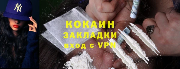 шишки Кукмор