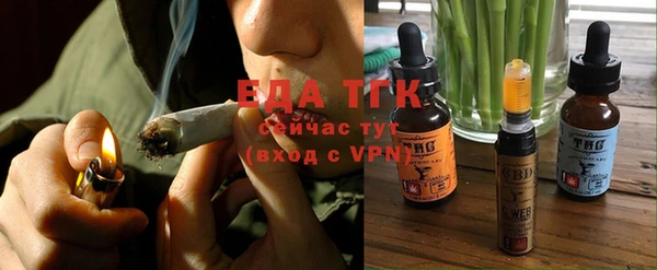 стаф Кулебаки