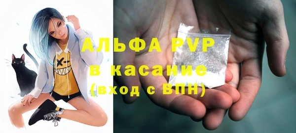 стаф Кулебаки