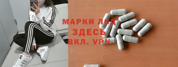 стаф Кулебаки