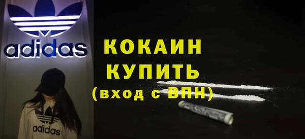шишки Кукмор