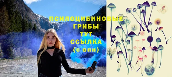 скорость Лагань