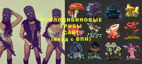 мескалин Ладушкин
