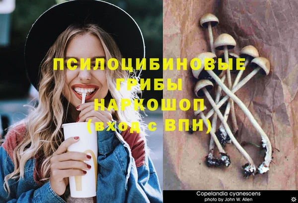 скорость Лагань