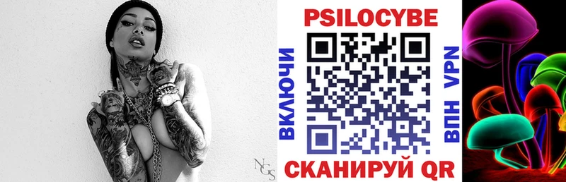 как найти Шимановск Галлюциногенные грибы Psilocybine cubensis